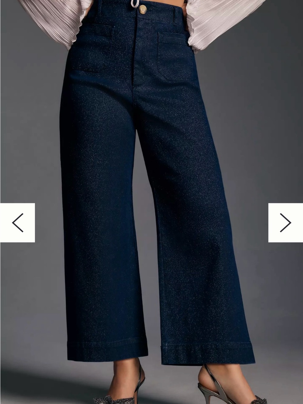 Anthropologie Colette Sparkle Denim Cropped Wide-Leg Jeans by Maeve Sz 31
